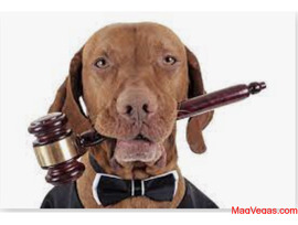 Споры (онлайн) с ветеринарными клиниками в любом городе России и СНГ