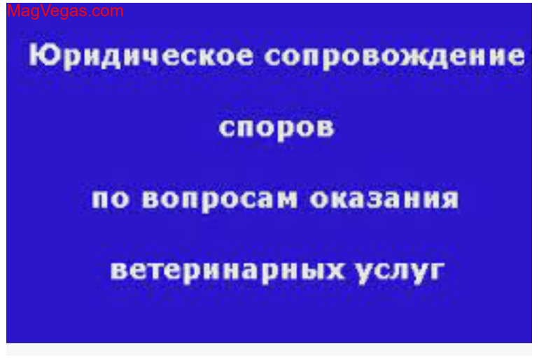 Споры с ветеринарными клиниками в любом городе России и СНГ