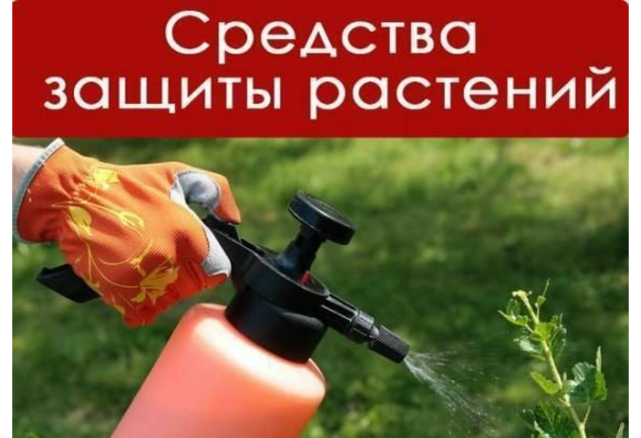 Средства защиты растений картинки