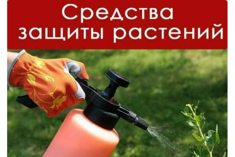 Покупаем средства защиты растений